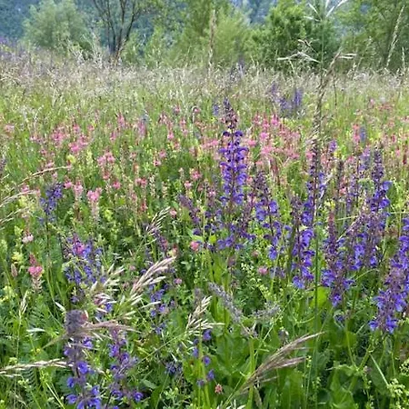 Maisonette Im Penthouse-stil Ca 145m2 Mit Viel Privatsphaere - Direkt Am Walensee Mit Badestrand