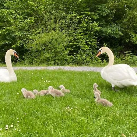 Maisonette Im Penthouse-stil Ca 145m2 Mit Viel Privatsphaere - Direkt Am Walensee Mit Badestrand Unterterzen