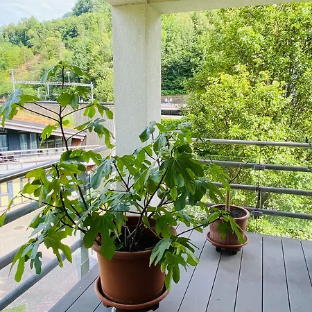 Daire Maisonette Penthouse-stil 150m2 - Direkt Am Walensee Mit Badestrand Unterterzen