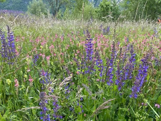 Maisonette Im Penthouse-stil Ca 145m2 Mit Viel Privatsphäre - Direkt Am Walensee Mit Badestrand