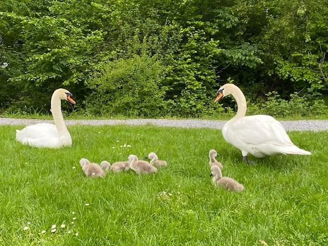Maisonette Im Penthouse-stil Ca 145m2 Mit Viel Privatsphäre - Direkt Am Walensee Mit Badestrand Unterterzen